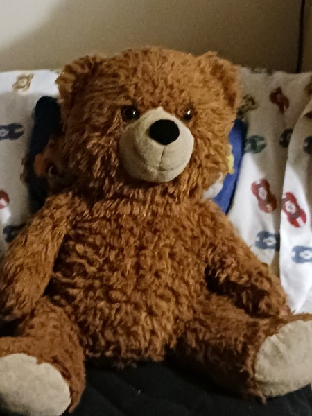 A brown teddy bear.