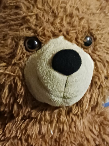 A close up of a teddy bear's face