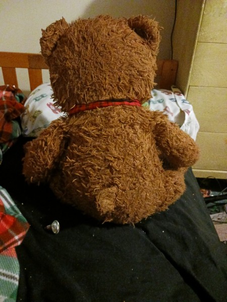 A teddy bear from the back.