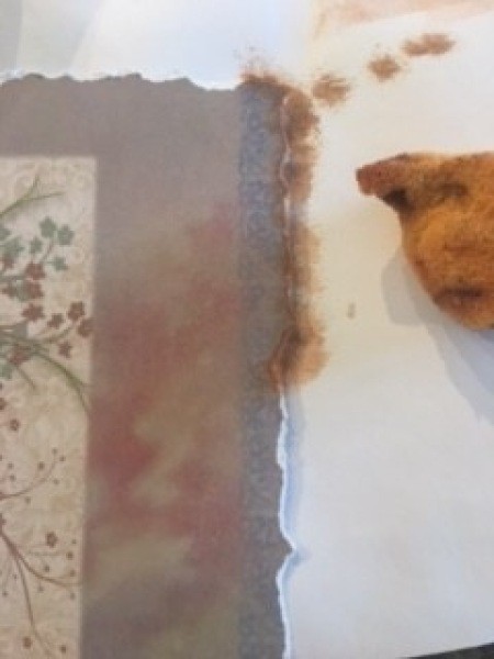 Adding color to the white edge.