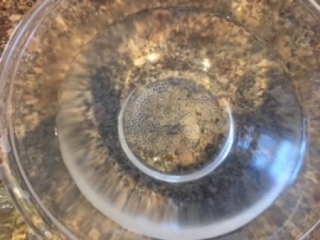 Soaking the water beads in a bowl.