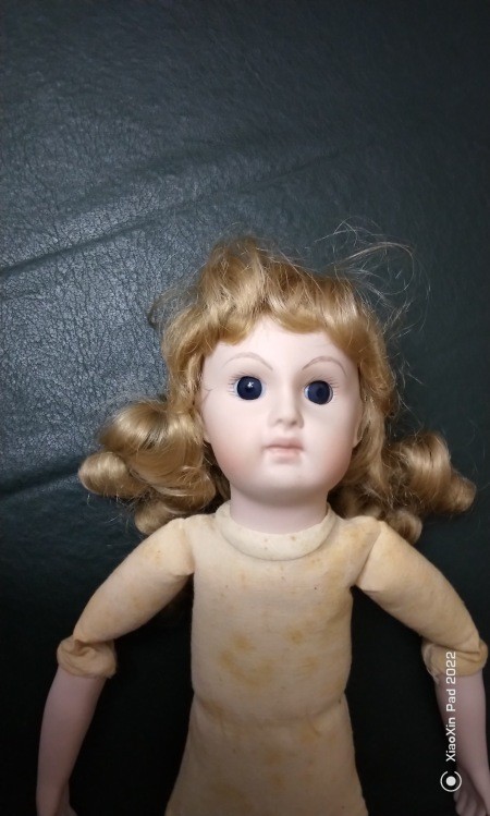 The doll's face and upper body.