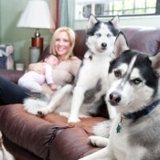 A pack of huskies next to a mother and child on a couch.