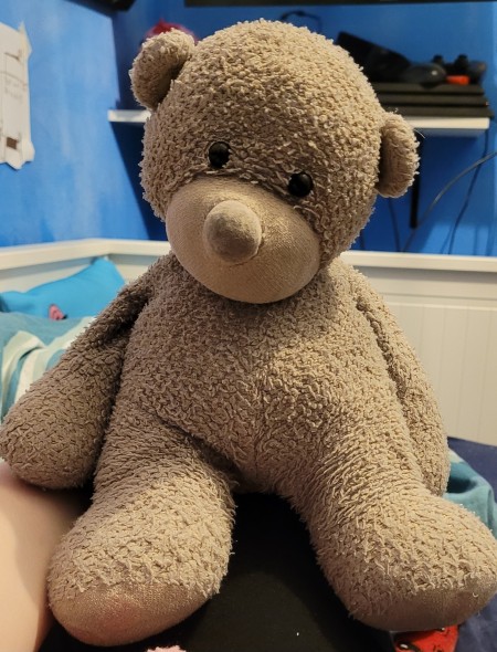 An old stuffed bear.