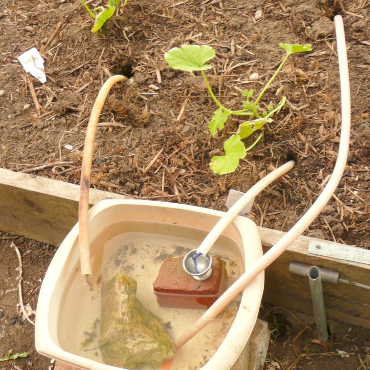 Self Watering Systems for Outdoor Plants