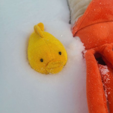 A stuffed fish toy.