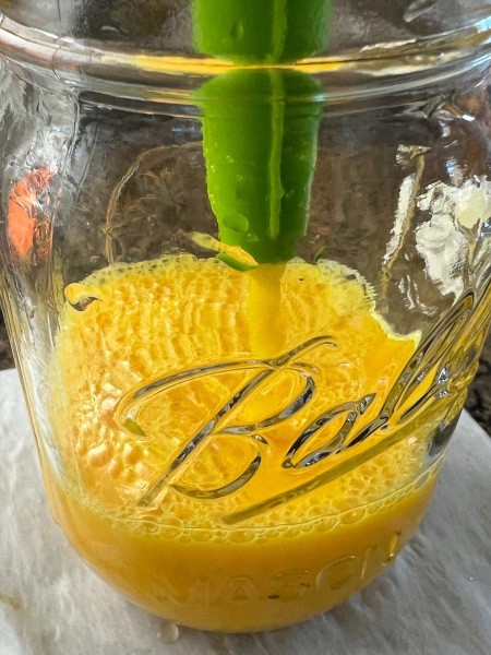 Pouring the drink into glass jars.