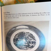 A collectible plate in a book.