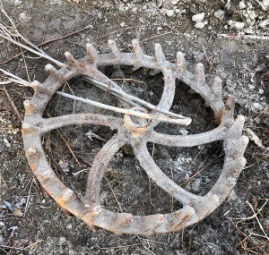 A round metal wheel with teeth.