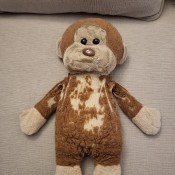 A worn stuffed monkey.