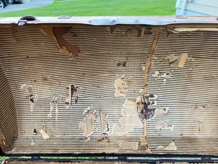 Identifying a Trunk?