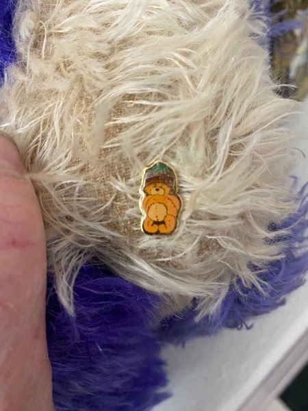 Identifying Teddy Bears?