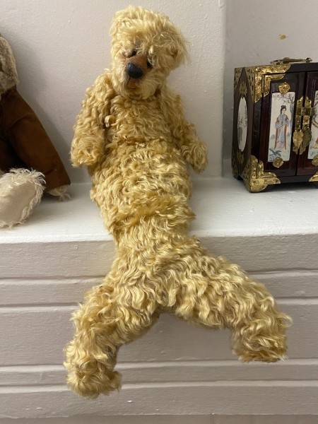 Identifying Teddy Bears?