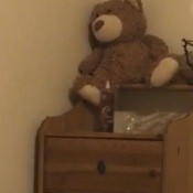 Finding A Childhood Teddy?