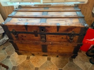 Information About Chest/Trunk?