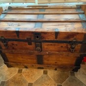 Information About Chest/Trunk?