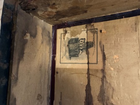 Information About Chest/Trunk?