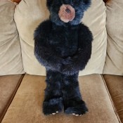 Identifying Stuffed Bear?
