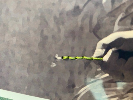 Embroidered Photography