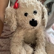 Information About Stuffed Dog?