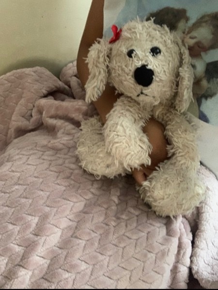 Information About Stuffed Dog?