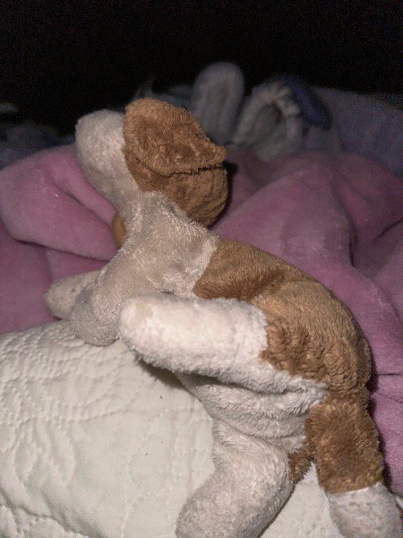 Identifying a Stuffed Animal?