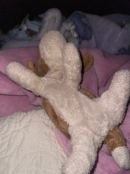 Identifying a Stuffed Animal?