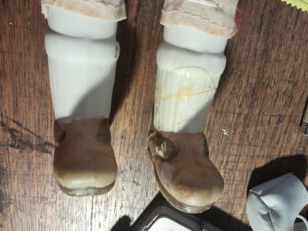 Identifying Thrifted Dolls?