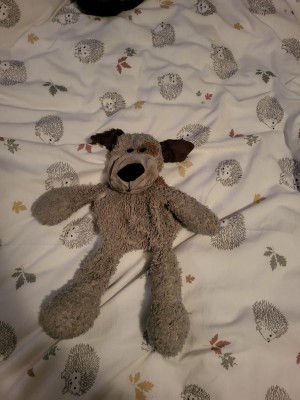 Finding A Stuffed Teddy?